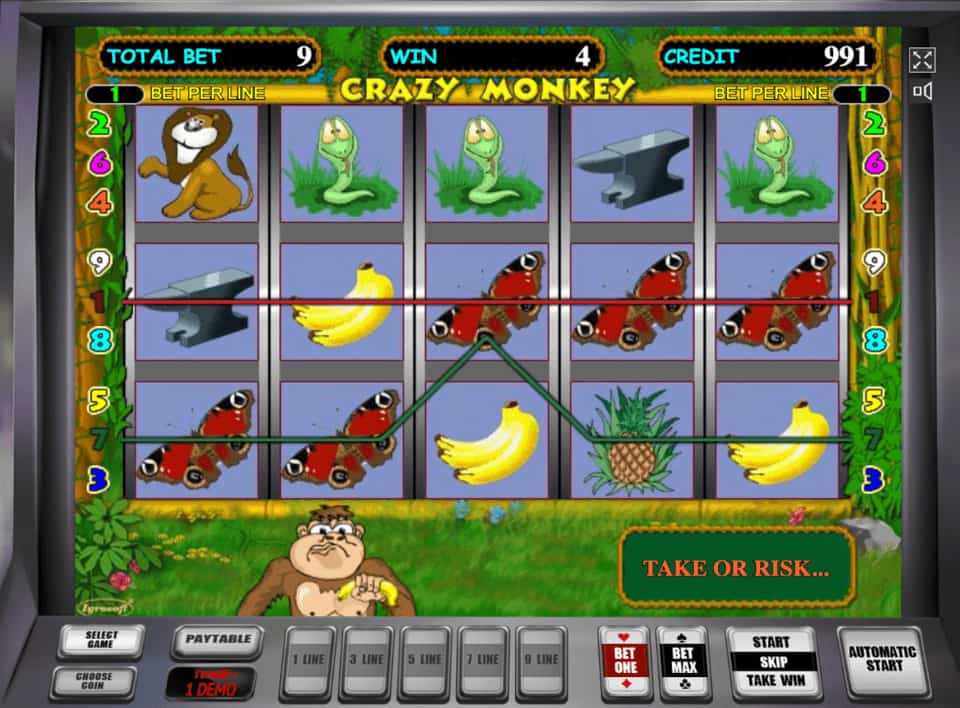 Онлайн игровой автомат обезьяна все букмекерские конторы в саранске